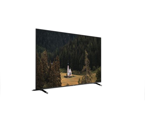 ტელევიზორი SUNNY 50'' (SN50FIL252/0276) WebOS TV — 2